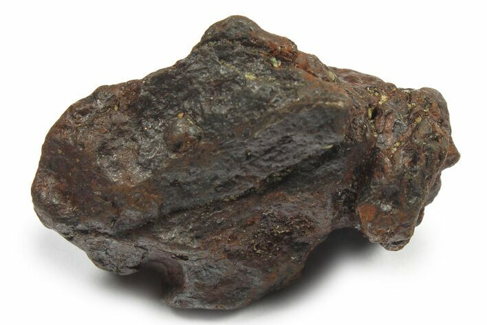 Canyon Diablo Iron Meteorite ( g) - Arizona #270536